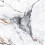 NES Home Nes Home PVC Wall Panel Massa Marble 1000 x 2400 x 10mm 3