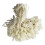 (1000pcs,Ivory)Nylon String Hang Tag Fasteners 1