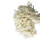 (1000pcs,Ivory)Nylon String Hang Tag Fasteners 2