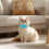 Coleira GPS Inteligente para Animais de Estimação com Rastreador GPS, Compatível com iOS e Android, Resistente à Água e na Cor Azul. 5
