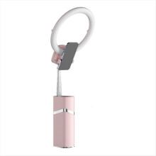 10 tommer mini bærbar LED stativ skrivebordslampe justerbar fjernbetjening til livestreaming lyserød
