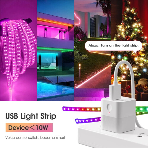 2in1 Smart WiFi Type-C Adaptor Switch 5V Mini Type-C Power Adaptor Smart Life Control TYPE-C 1