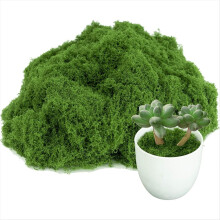Künstliches Moos für Zimmerpflanzen, Topfpflanzen, Feengärten, DIY-Modellbau, Wände, Glasbehälter, Heimdekoration – 3,5 oz