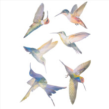 6 Pcs Lrge Size Bird Window Clings Anti-Collision Decals to Prevent Strikes on Glass