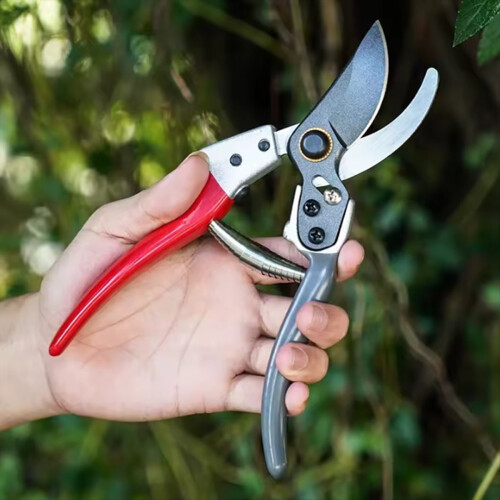 Obstbaumschere, Gartenschere, Blumenveredelungsschere mit rutschfestem Griff 1