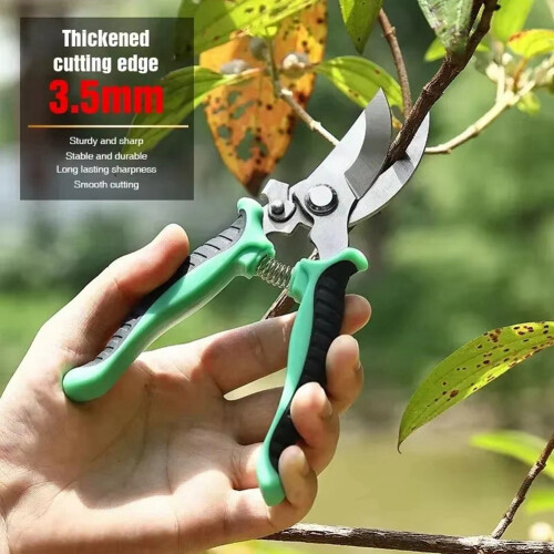 2PCS Branch Pruning Shears Gardening Scissors Orchard Fruit Picking Florist Tool 1