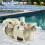 2set 350157 Union Replacement Kit for & Variable Speed Pool Pump, Pool Pump Union 6