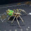 DIY Mechanical Spider Metal Model Kit 3D Puzzles Insects Assembly,A 4