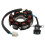 32101-30D00 Generator Stator Coil for GSX110 FX110 1