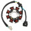 32101-30D00 Generator Stator Coil for GSX110 FX110 7