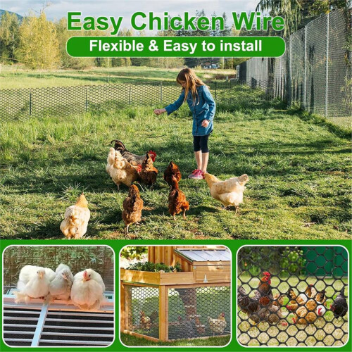 Plastic Chicken Wire Mesh 2