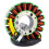 Stator Coil for 800 GTX LE RFI 1