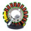 Stator Coil for 800 GTX LE RFI 4