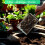 4PCS Soil Sifter for Gardening,Compost Sifter with Handle 4