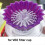 Hand-Brewed Coffee Filter Cup Papers Presser Cone-Shaped 5