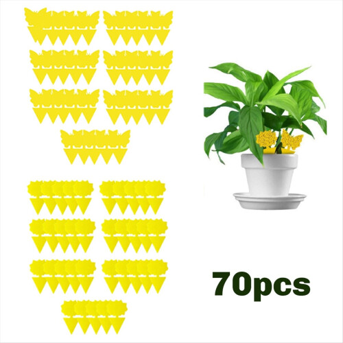 Multi-Sized Sticky Trap
For Flying Insect 2