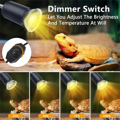 Dimmable Reptile Heat Lamp Rotatable Basking Spot Light EU Plug 1