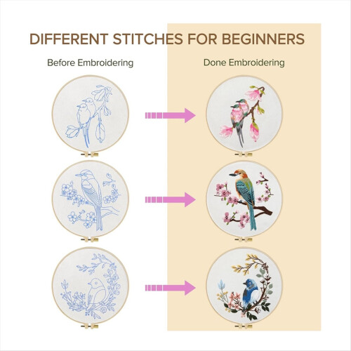 4Pack Embroidery Kits for Adults Embroidery Kit () 2