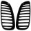 Front Hood Grille 2