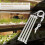 Grow Light Strips, for Indoor Plants with Auto On/Off 3/9/12H Timer 2