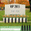 20 Pack Cemetery Vases with Spikes,Grave Decorations for Cemetery 5