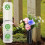 20 Pack Cemetery Vases with Spikes,Grave Decorations for Cemetery 3