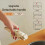 1Pcs Removable Handle for All Cookware A 5