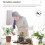 Mini Soil Moisture Meter Moisture Tester Soil Meter Plant Soil Kit 4