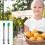 2 Pack Straw Puncher for Plastic Lids Lemonade Cups 5