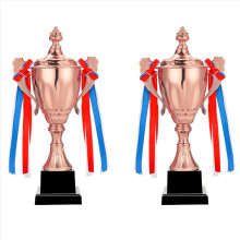 11.8 Inch copper Trophy Cup for Sports Meeting Competitions