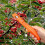 Grape Picking Tool Multifunctional Kitchen Chopping Gadgets 2