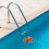 Octopus Pool Thermometer Floating Water Temperature Tester 3