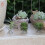 Pack 5 Air Plant Holder Air Plants Holders Display, Silver 5