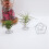 Pack 5 Air Plant Holder Air Plants Holders Display, Silver 2