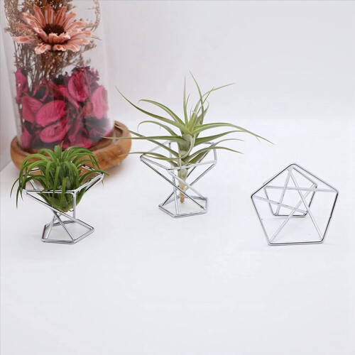 Pack 5 Air Plant Holder Air Plants Holders Display, Silver 1