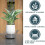 Deep Plant Saucer, Bottom Watering Tray 3
