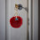 Vibrant Starfish Furry Sphere Keychain-Bean paste color 7
