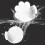 Elegant Coffee Handle Holder Home Accessory With-flowers white 4