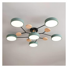 Chandeliers Ceiling Light Circular Acrylic LED Nordic Modern SemiFlush Mount Green 6Head Warm Light Living Room