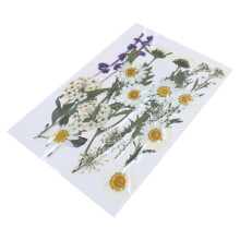 16/18/19/22Pcs Natural Pressed Dried Flower For Epoxy-J style