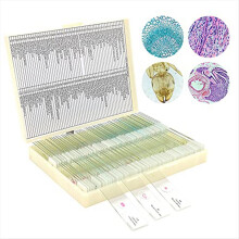 Microscope Slides with Specimens From Children, Mi