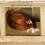 10 Pack Reusable Nesting Box Pads for Chickens Coo 6