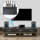 Audio Converter with IR Remote Control Digital Coa 11