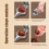 Nutcracker Chestnut Clip Nut Crackers Sheller Waln 4