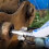 Grease Coupler Heavy-Duty Quick Release NPTI/8 100 8