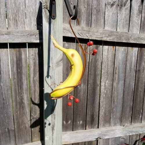 Butterfly Banana Hammock Hanging Fruit Under - 1 w 2