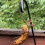 Butterfly Banana Hammock Hanging Fruit Under - 1 w 7