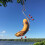 Butterfly Banana Hammock Hanging Fruit Under - 1 w 4