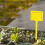 Yellow 100Pcs Plastic Gardening Labels Potted Plan 6