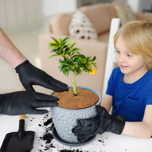 12 Pcs 11.8inch Coir Fiber Tree Mulch Ring Protect 2